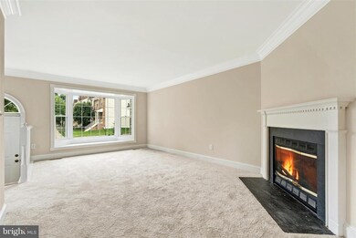 7801 Black Horse Ct, Manassas, VA 20109 - photo 5