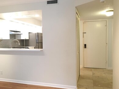 View from Living Room to Front Door