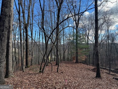200 Mincey Acres Dr, Murrayville, GA 30564 - photo 3