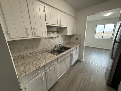 2300 N Harlem Ave unit 704, Elmwood Park, IL 60707 - photo 5