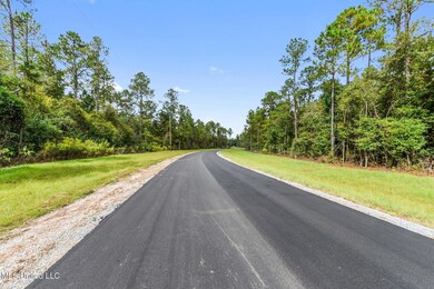 Lot 12 Pine Ridge Ln, Lucedale, MS 39452 - photo 6