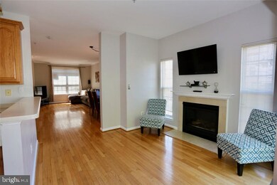 6030 Madison Overlook Ct, Falls Church, VA 22041 - photo 5