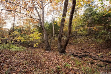 0 Cr 663, Oak Grove, AR 72660 - photo 6