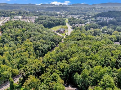 2520 Sweeney Hollow Rd, Center Point, AL 35215 - photo 6