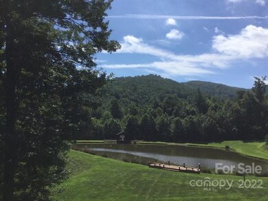 233 Smokemont Dr unit 61, Arden, NC 28704 - photo 4