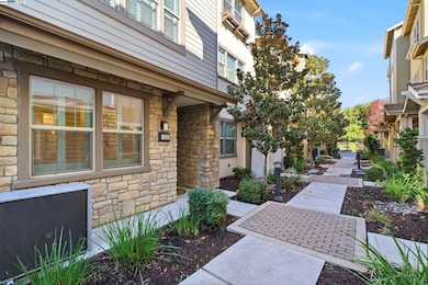 155 Branta Common, Fremont, CA 94538 - photo 6