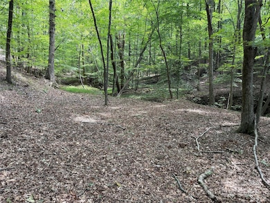 0 Mountain Brook Trail unit 298, Nebo, NC 28761 - photo 6