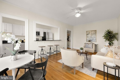 2456 20th St NW unit 403, Washington, DC 20009 - photo 2