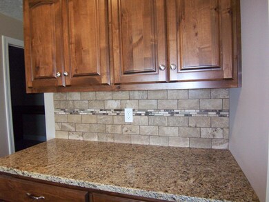 1668 E Chickamauga Dr, Republic, MO 65738 - photo 6