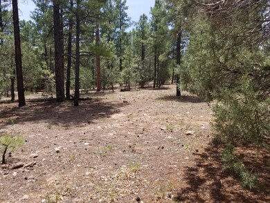 3950 Shaggy Bark Road