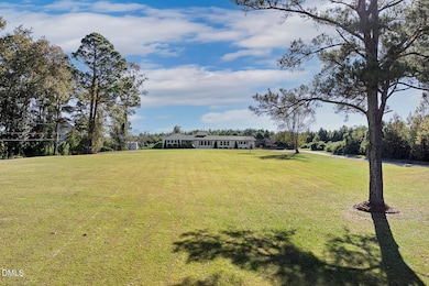 273 Wells Ln, Angier, NC 27501 - photo 4