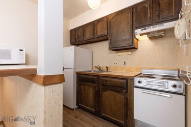 2025 Little Coyote Rd unit 184, Big Sky, MT 59716 - photo 6