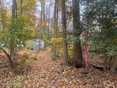 23 Kuzyk Rd, Plumsted, NJ 08514 - photo 3