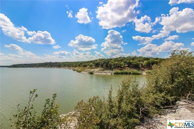 10042 Blanco Springs, Moody, TX 76557 - photo 5
