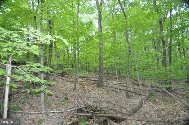 00 Pennsylvania 61, Ashland, PA - photo 2