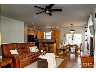 Open and bright living area