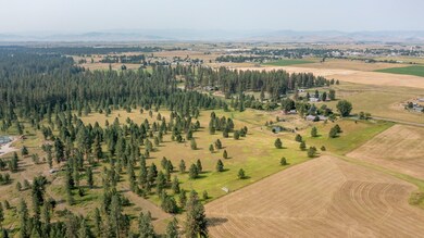 Kila Reynolds - 46586NFoothillsDr_DRONE_