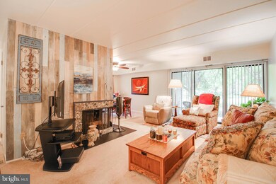 5388 Smooth Meadow Way, Columbia, MD 21044 - photo 4