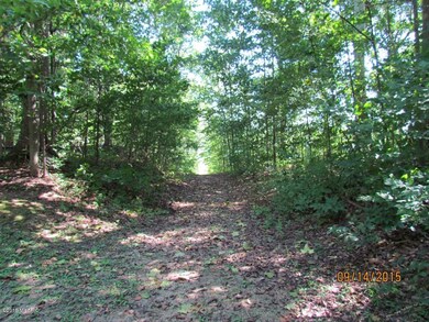 IMG_3197 (Medium)