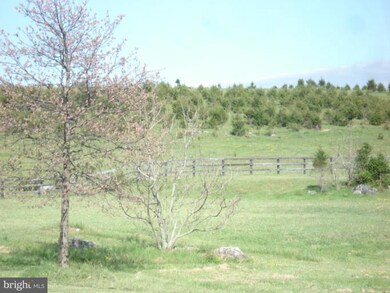 unlisted-address, White Post, VA 22663 - photo 6