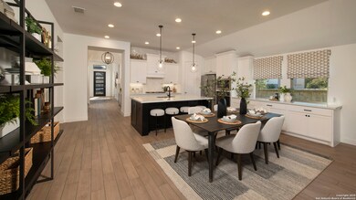 9303 Pioneer Jct, San Antonio, TX 78254 - photo 4