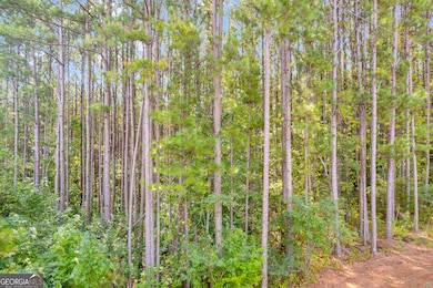 0 Moonlight Dr unit 10598549, Martin, GA 30557 - photo 3