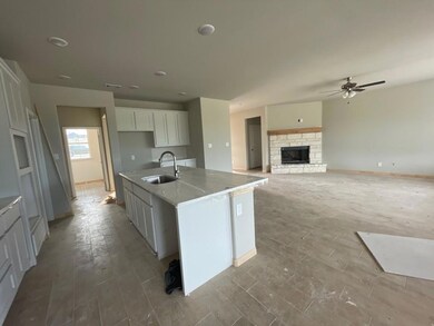 1048 Winecup Ln, Weatherford, TX 76085 - photo 4