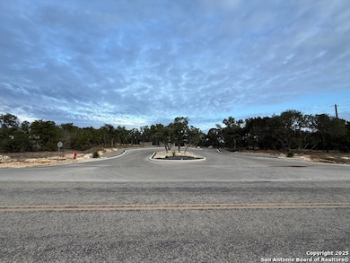 160 Restless Wind, Spring Branch, TX 78070 - photo 5