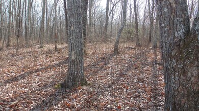 Mature trees shade the lot.