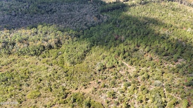 0 Douglas Ferry Rd unit 781383, Esto, FL 32425 - photo 7