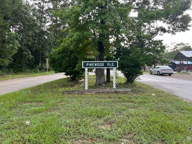 14921 Druid St, Conroe, TX 77302 - photo 4