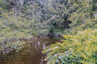 Penny Brook