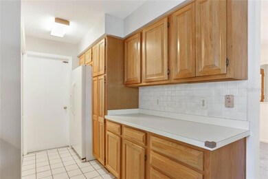 6705 Larimer Dr, Tampa, FL 33615 - photo 7