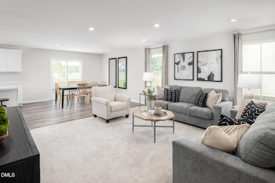 291 Gianna Dr, Angier, NC 27501 - photo 7