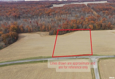 000B Alma Hatchery Rd, Odin, IL 62870 - photo 2