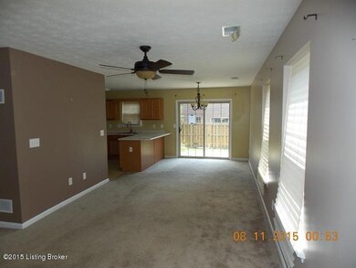 8453 Grand Trevi Dr unit 4802, Louisville, KY 40228 - photo 4