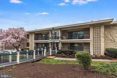 1002 Primrose Rd, Annapolis, MD 21403 - photo 2