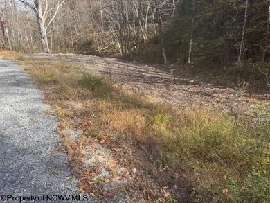 TBD Adolph Road (Rr), Mill Creek, WV 26280 - photo 7