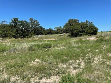 1000 Sky Rd, Weatherford, TX 76087 - photo 2