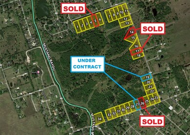 2612 County Road 160 Lot 25, Alvin, TX 77511 - photo 5