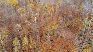 39 Grimes Rd, Lyndon, VT 05851 - photo 2