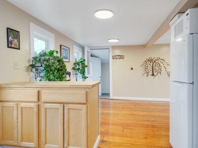31_DJI_0048_DxO_mls