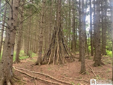 905 Waterman Rd, Kennedy, NY 14747 - photo 6