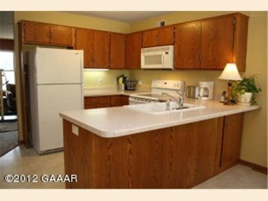 1615 Derek Dr NW, Alexandria, MN 56308 - photo 5