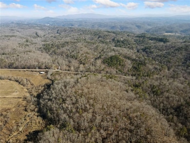 Aerial view featuring a wooded view and a mountain