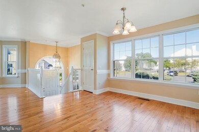 7141 Collinsworth Place, Frederick, MD 21703 - photo 7