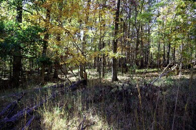 Lt.177 Laurel Way, Sparta, GA 31087 - photo 4