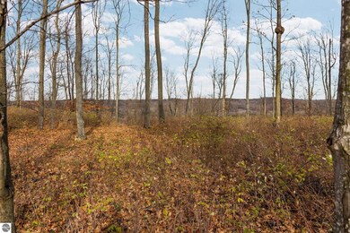 Lot D Retreats Way, Rapid City, MI 49676 - photo 6