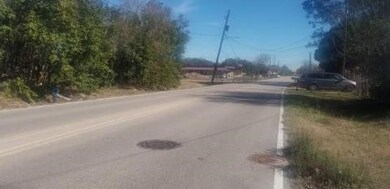 0 E Walnut St, Brookside Vl, TX 77581 - photo 4