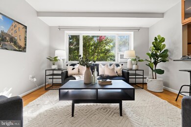 111 Lee Ave unit 109, Takoma Park, MD 20912 - photo 3